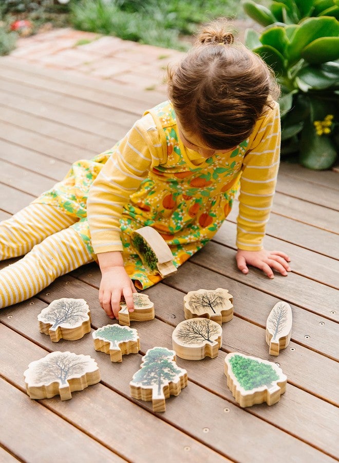 THE FRECKLED FROG Wooden Seasons Trees - Image 5
